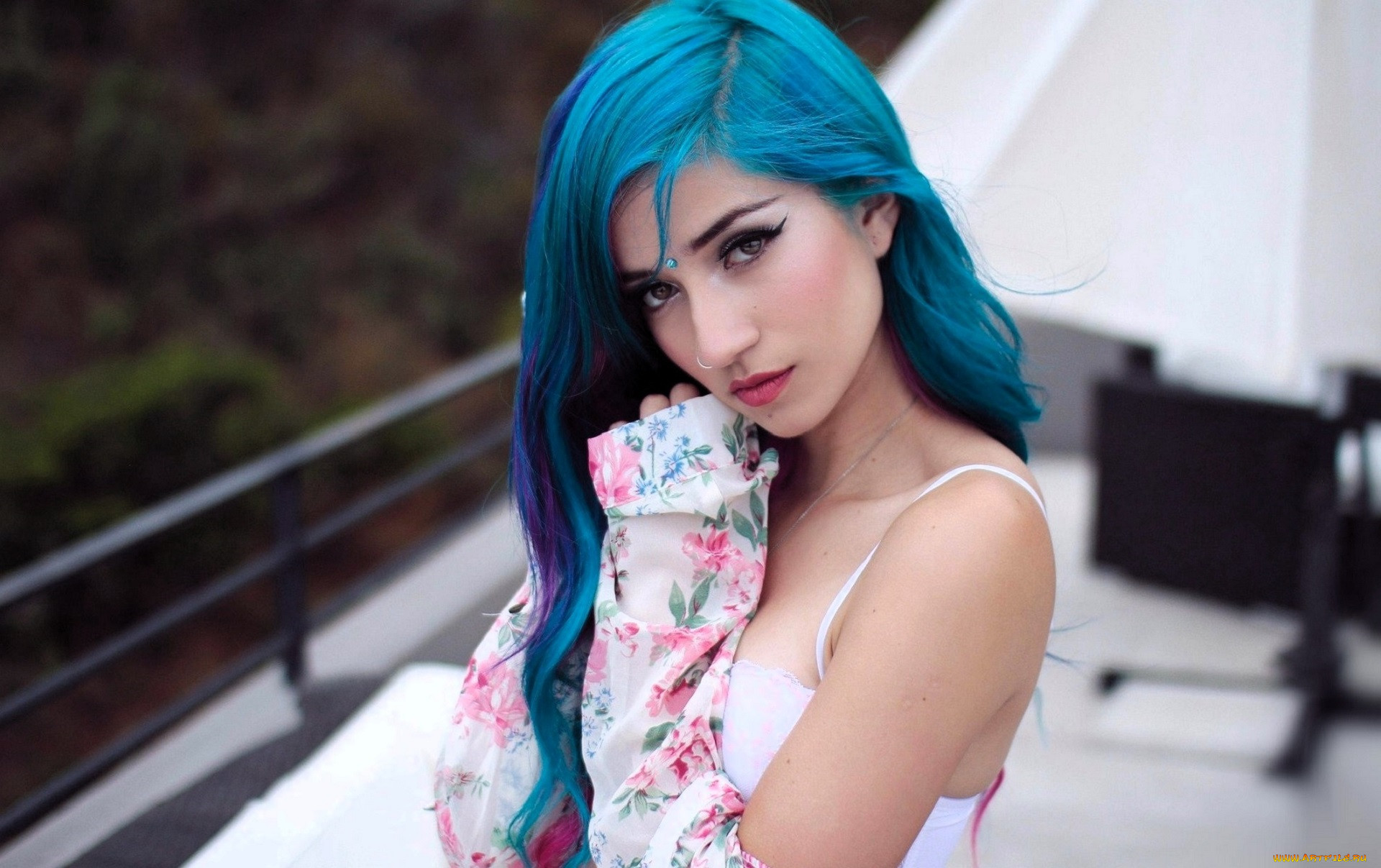 fay, , -   , , 